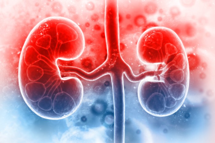 Ati real life chronic kidney disease