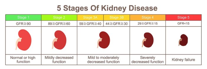 Kidney polycystic disease treatment