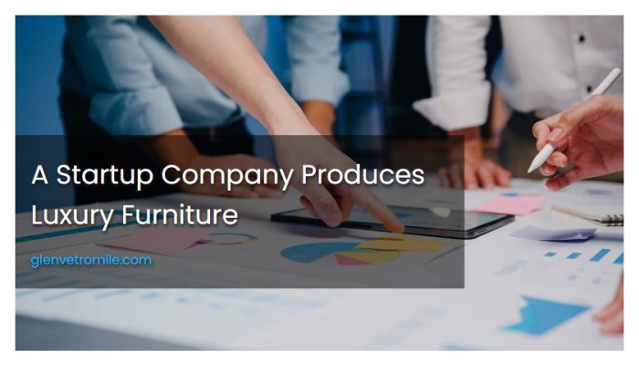 A startup company produces luxury furniture