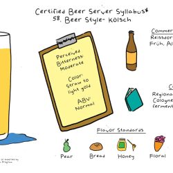 Certified beer server practice test