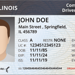 Illinois cdl passenger practice test