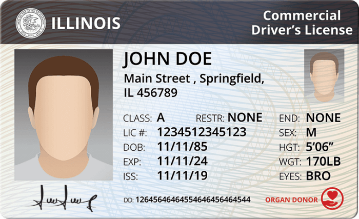 Illinois cdl passenger practice test