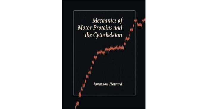 Mechanics of motor proteins and the cytoskeleton