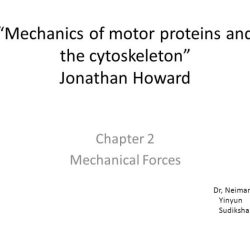 Cytoskeleton ppt powerpoint kinesin dynein atpase family tail interaction gene anterograde presentation transport